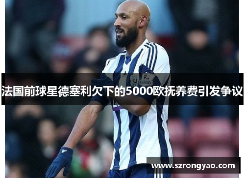 法国前球星德塞利欠下的5000欧抚养费引发争议